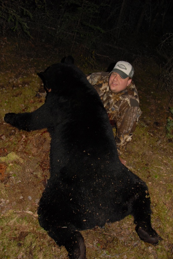 Collin Koehler's Bear top view