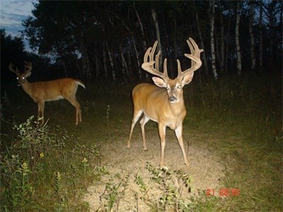 The Greatest Whitetail Rush