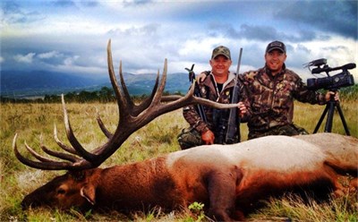 Septembe 6th 2013, SCOTT BECK'S ALBERTA ELK