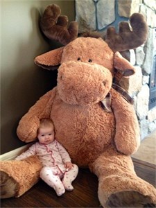 March 24th 2014, BERK'S FRIST TEDDY MOOSE