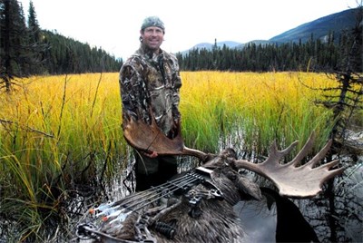 Andy's Archery Moose
