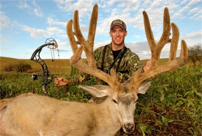 SHANE'S B&amp;C TYPICAL MULIE