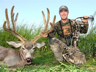 Cody's Archery Mulie