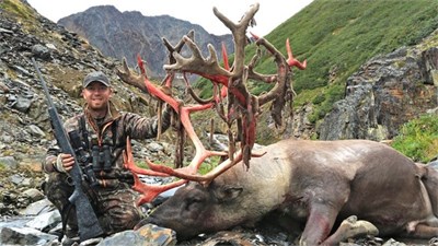 MOUNTAIN CARIBOU WITH CEASER LAKE OUTFITTERS